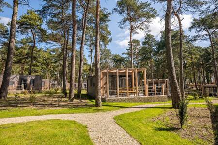 Freistehende Chalets im Ferienpark EuroParcs Hoge Kempen