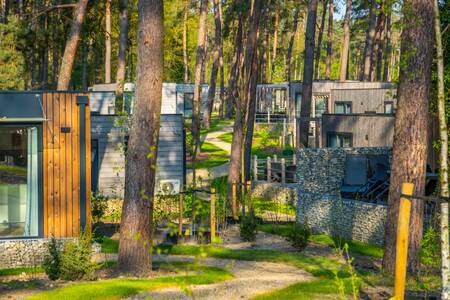 Freistehende Ferienhäuser im Wald im Ferienpark EuroParcs Hoge Kempen
