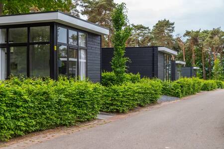 Moderne freistehende Chalets im Ferienpark EuroParcs Maasduinen