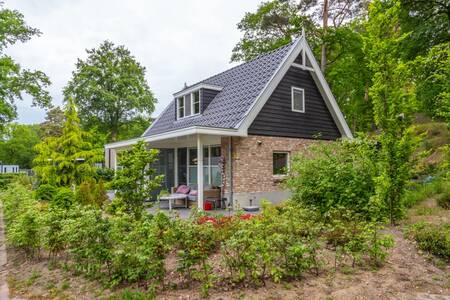 Freistehendes Ferienhaus mit Dach im Ferienpark EuroParcs Maasduinen