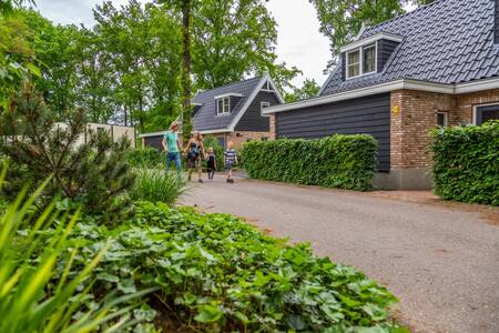 Die Familie geht vor freistehenden Ferienhäusern im Ferienpark EuroParcs Maasduinen spazieren