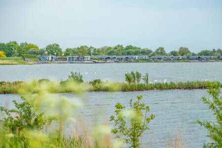 Chalets im Ferienpark EuroParcs Markermeer vom Markermeer aus gesehen