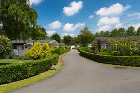 Chalets an einer Allee im Ferienpark EuroParcs Molengroet