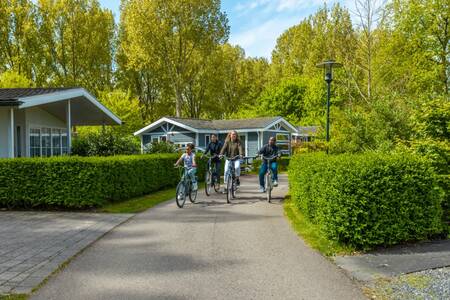 Die Familie radelt auf einem Weg zwischen den Ferienhäusern im EuroParcs Molengroet Ferienpark