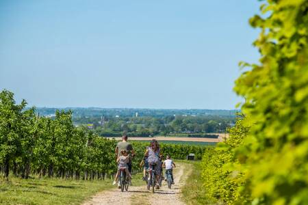 Eine Familie radelt durch die Hügel von Süd-Limburg in der Nähe des EuroParcs Poort van Maastricht