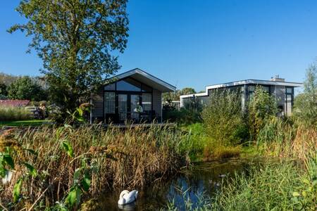 Zwei Ferienhäuser im Ferienpark EuroParcs Poort van Zeeland