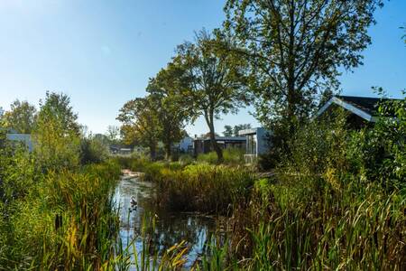 Ferienhäuser an einem Graben im Grünen im Ferienpark EuroParcs Poort van Zeeland