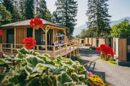 Ferienhäuser an einer Allee im Ferienpark EuroParcs Pressegger See