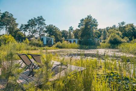 Liegestühle auf einem Steg eines Ferienhauses im Ferienpark EuroParcs Reestervallei