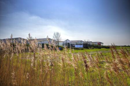 Chalets im Ferienpark EuroParcs Schoneveld