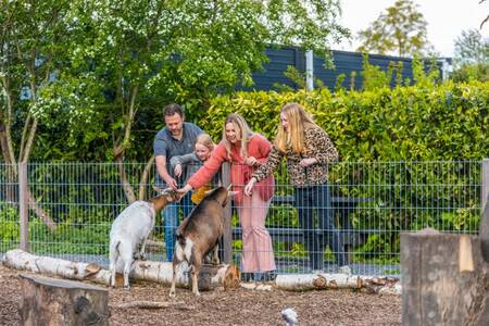 Familie mit Kindern im Streichelzoo im Ferienpark EuroParcs Spaarnwoude