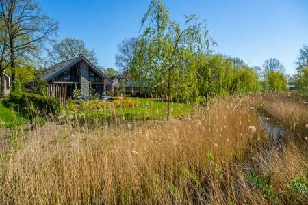 Freistehendes Ferienhaus im Grünen im Ferienpark EuroParcs Zuiderzee