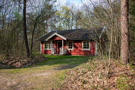 Ein finnisches Chalet im Ferienpark EuroParcs de Wiltzangh