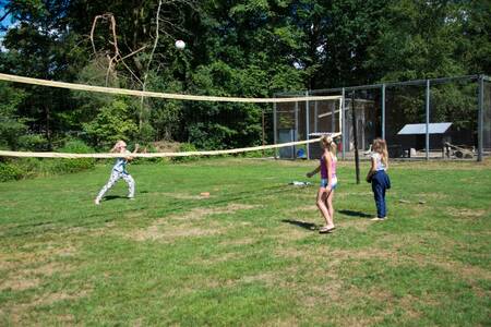 Kinder spielen Volleyball im Ferienpark EuroParcs de Wiltzangh
