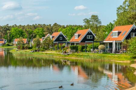 Freistehende Ferienhäuser am See im Ferienpark EuroParcs de Zanding