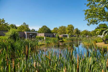 Ferienhäuser am Wasser im Ferienpark Europarcs Bad Hoophuizen