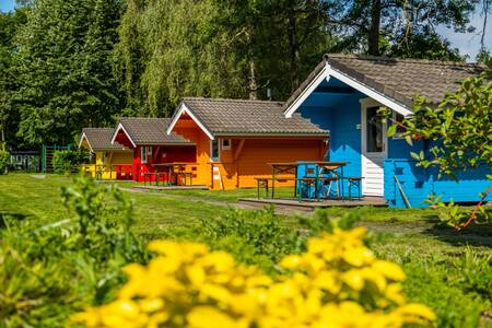 Farbenfrohe Chalets vom Typ "Cabin" im Ferienpark Europarcs Het Amsterdamse Bos