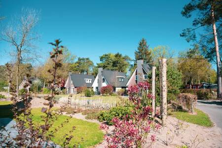 Freistehende Ferienhäuser im Ferienpark Europarcs de Achterhoek