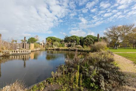 Teich im ehemaligen subtropischen Garten des Ferienparks Fort den Haak