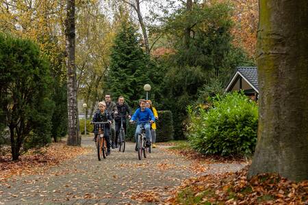 Eine Familie radelt zwischen den Ferienhäusern im Bungalowpark Het Verscholen Dorp hin und her