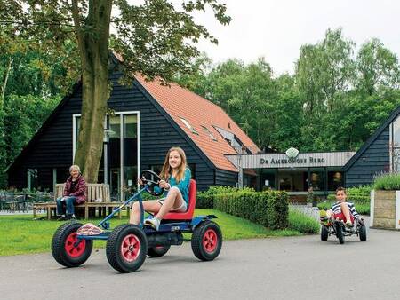 Kinder auf Gokarts im Ferienpark Landal Amerongse Berg