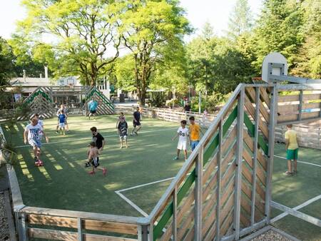 Kinder spielen auf dem multifunktionalen Spielfeld im Ferienpark Landal Coldenhove