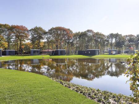 Ferienhäuser an einem Teich im Ferienpark Landal De Vlinderhoeve