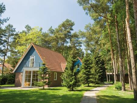 Freistehendes Ferienhaus mit Garten im Ferienpark Landal Dwergter Sand