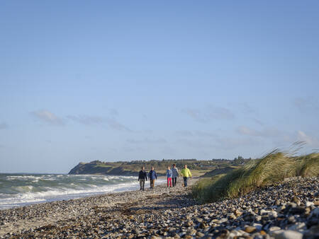 Wandern am Strand des Limfjords in der Nähe des Landal Ferienparks Rønbjerg