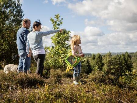 Landal Ferienhäuser Søhøjlandet - Lake Highlands in Dänemark