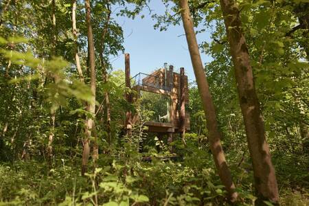 Treeloft: eine Art Baumhaus im Ferienpark Landal Forest Resort Your Nature