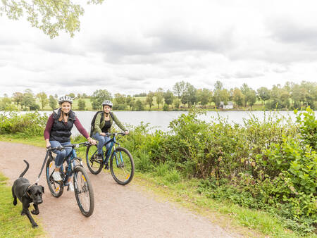 Paar mit Hund beim Radfahren in der Nähe des Ferienparks Landal Hochwald