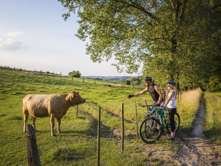 Der Ferienpark Landal Hoog Vaals liegt in der sanften Hügellandschaft Süd-Limburgs