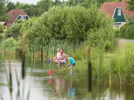 Im Ferienpark Landal Hunerwold State spielen Kinder mit einem Netz im Wasser