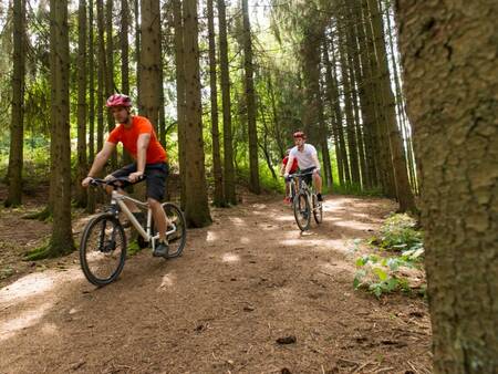 Ferienpark Landal Kaatsheuvel - Mountainbiken in den Wäldern der Loonse- und Drunense-Dünen