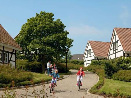 Ferienhäuser im Ferienpark Landal Kasteeldomein De Cauberg