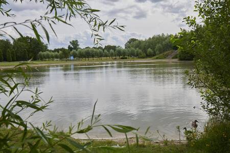 Freizeitsee im Ferienpark Landal Klein Oisterwijk