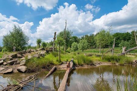 Kinder spielen auf dem Naturspielplatz im Ferienpark Landal Klein Oisterwijk