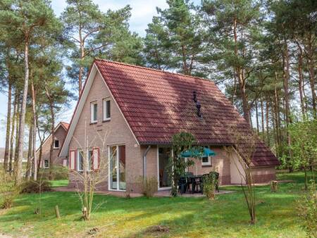 Freistehende Ferienhäuser im Wald des Ferienparks Landal Landgoed 't Loo