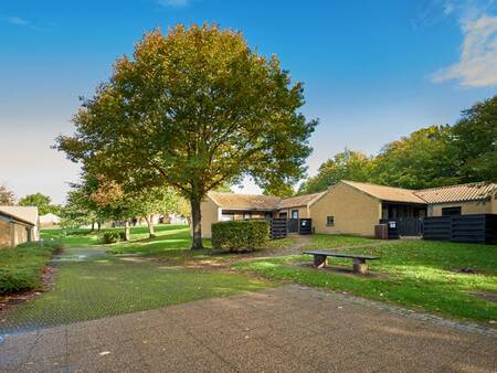 Ferienhäuser im Ferienpark Landal Middelfart