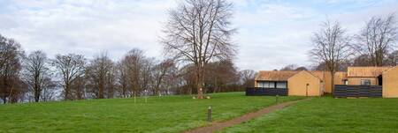 Ferienhäuser auf einer großen Wiese im Ferienpark Landal Middelfart