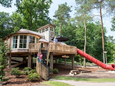 Baumhaus: Baumhaus für 4 Personen im Ferienpark Landal-Miggelenberg