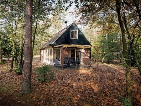 Freistehendes Ferienhaus im Wald des Ferienparks Landal Miggelenberg