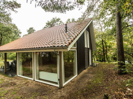Ferienhaus mit großer Glasfront im Wald im Ferienpark Landal Miggelenberg