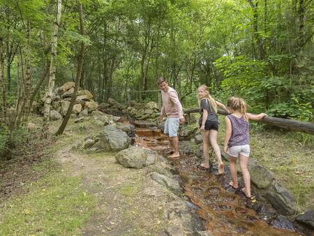 Eine Familie geht im Wald in der Nähe von Landal Mooi Zutendaal spazieren