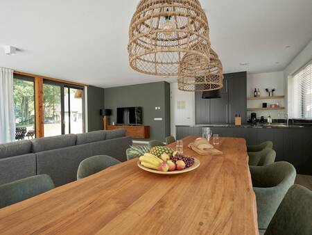 Essbereich, Küche und Wohnzimmer einer Villa im Ferienpark Landal Puur Exloo
