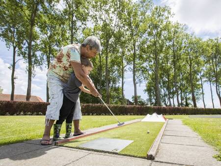 Spielen Sie gemeinsam Minigolf auf dem Minigolfplatz des Ferienparks Landal Resort Haamstede