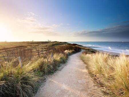 Der Weg zwischen den Dünen zum Strand - Landal Résidence Westduin