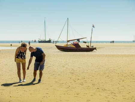 Landal Schuttersbos - Strand von Terschelling