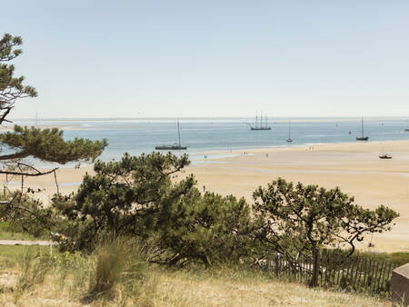 Genießen Sie die Dünen und den Strand von Terschelling im Ferienpark Landal Schuttersbos